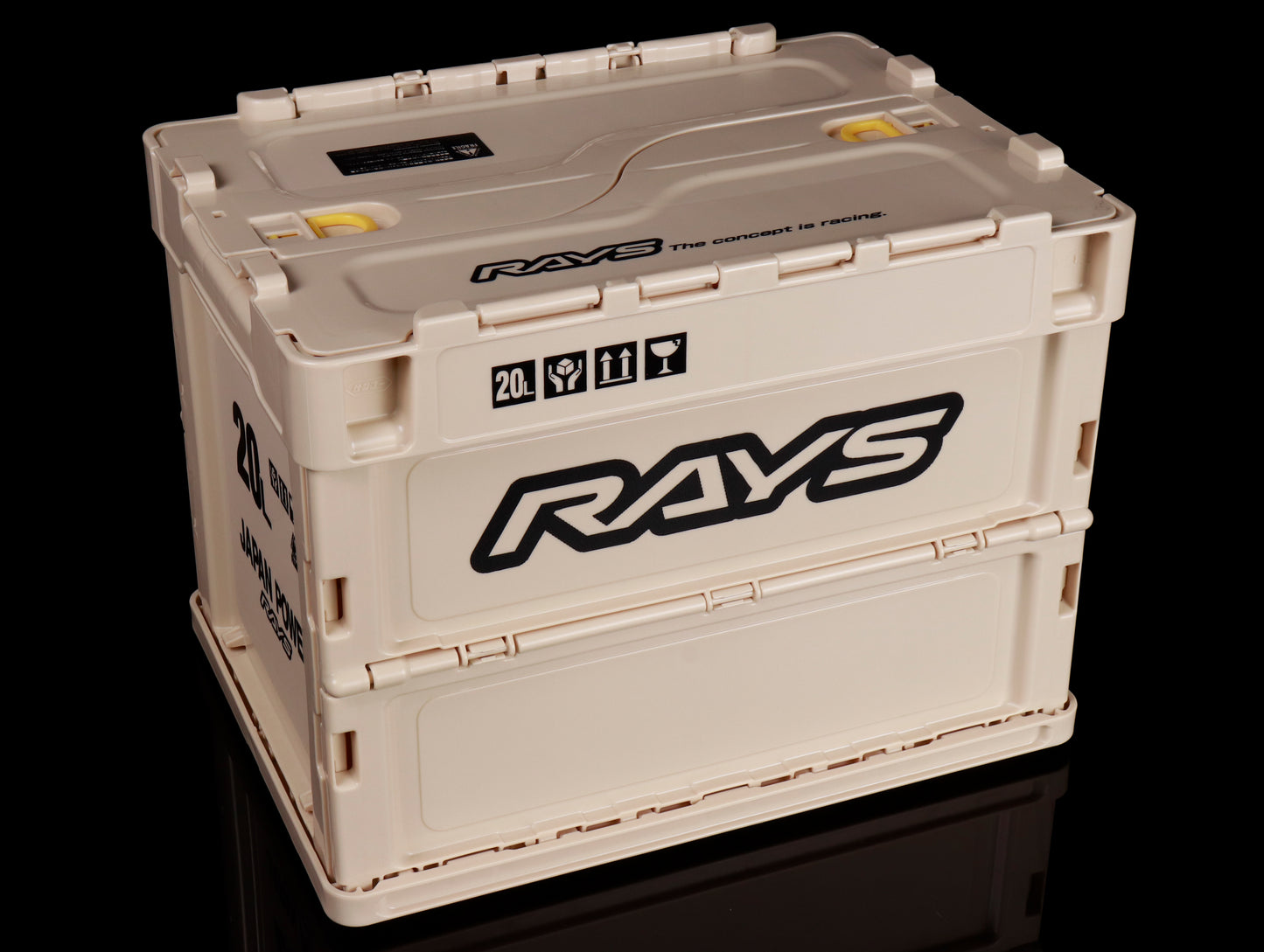 Rays Official Folding Storage Box Container