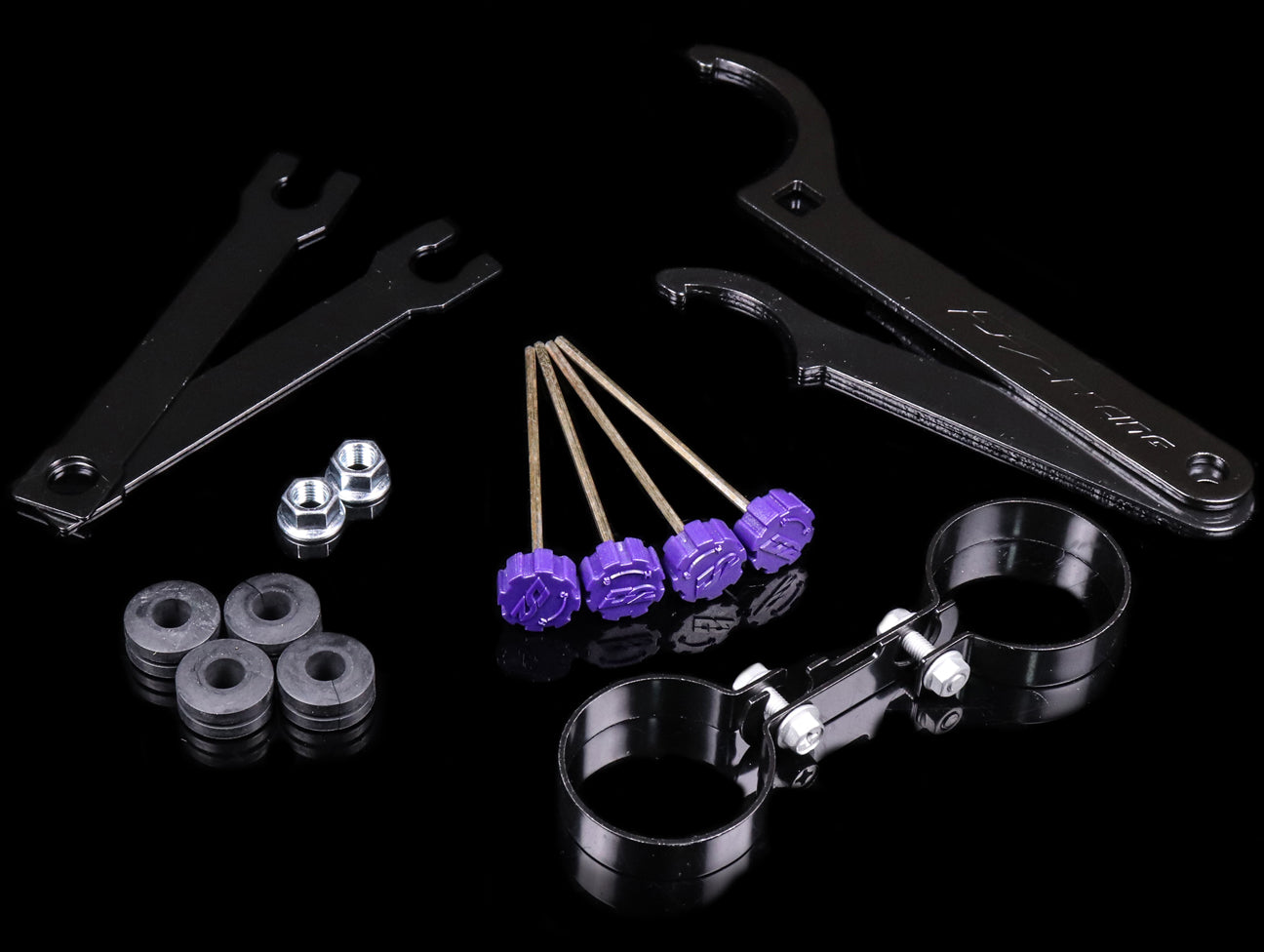 D2 Racing RS Coilover System - Civic