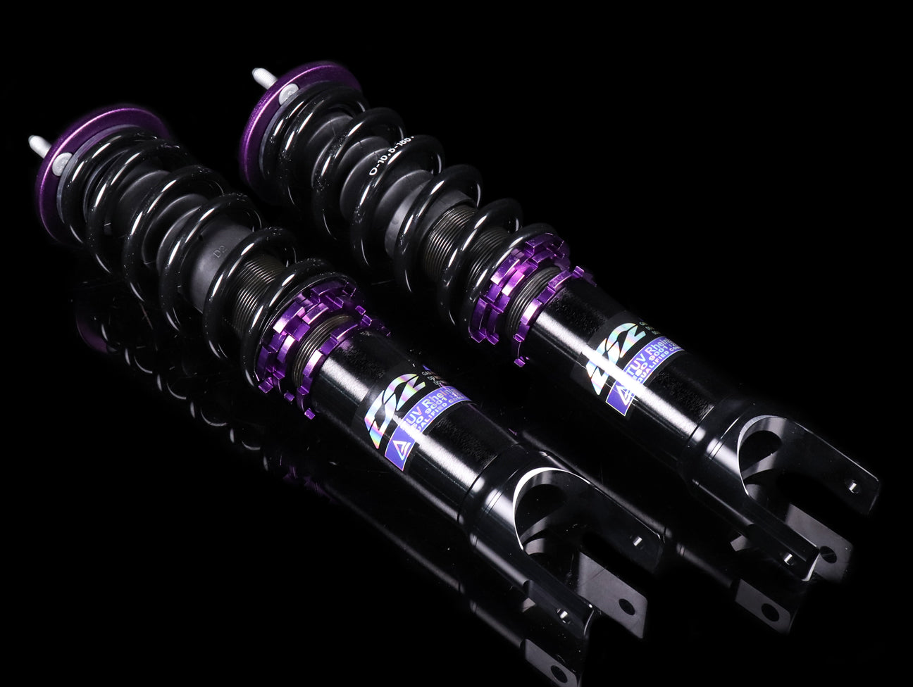 D2 Racing RS Coilover System - Civic