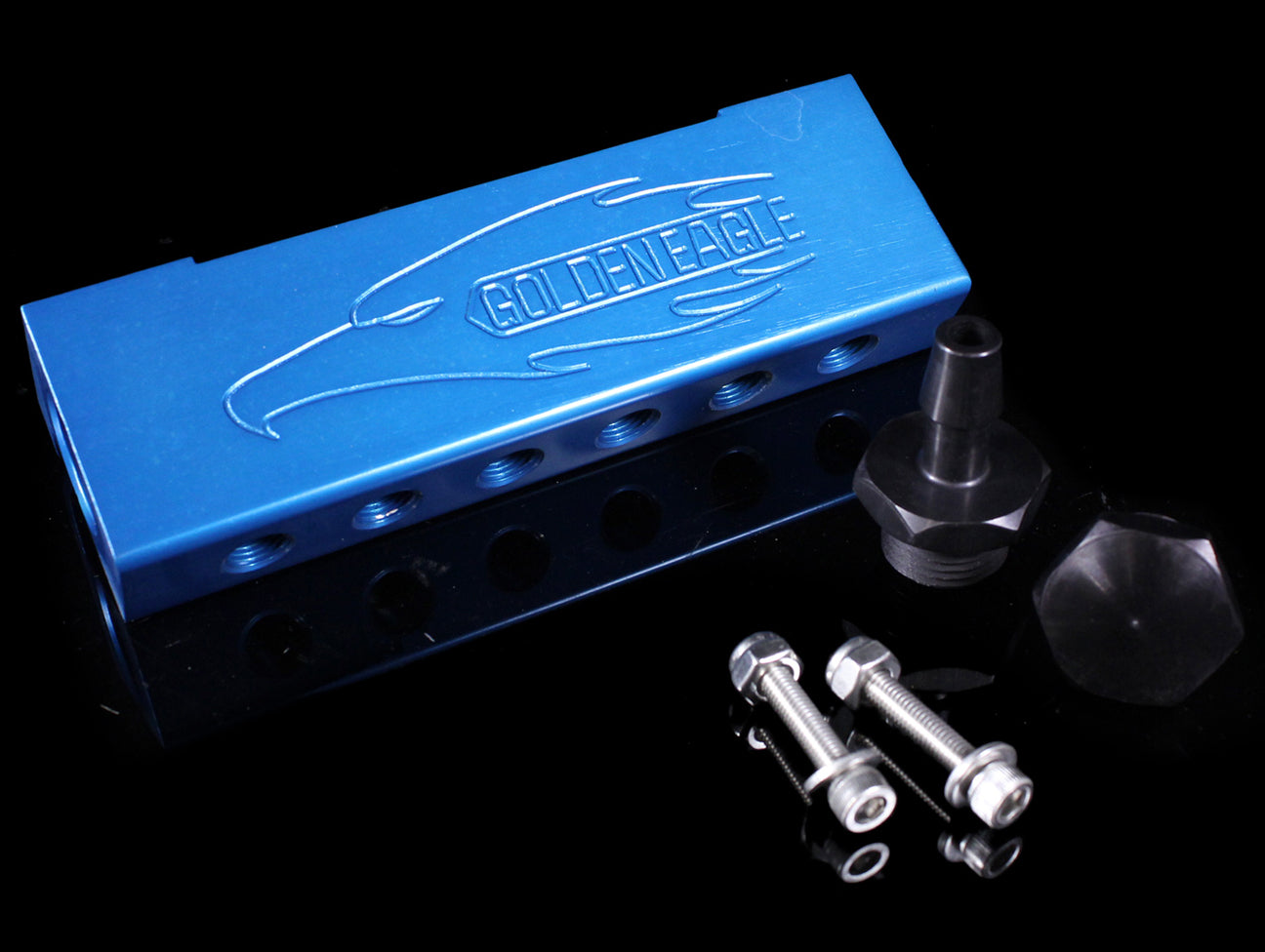 Golden Eagle Vacuum Manifold