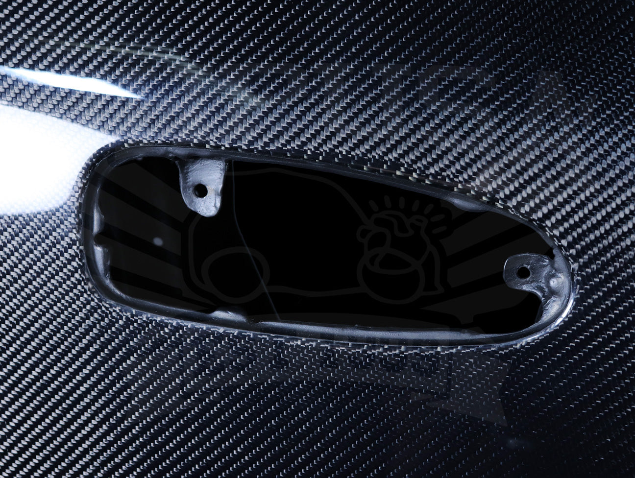Seibon OEM Style Carbon Fiber Doors - 92-95 Civic Hatchback / Coupe