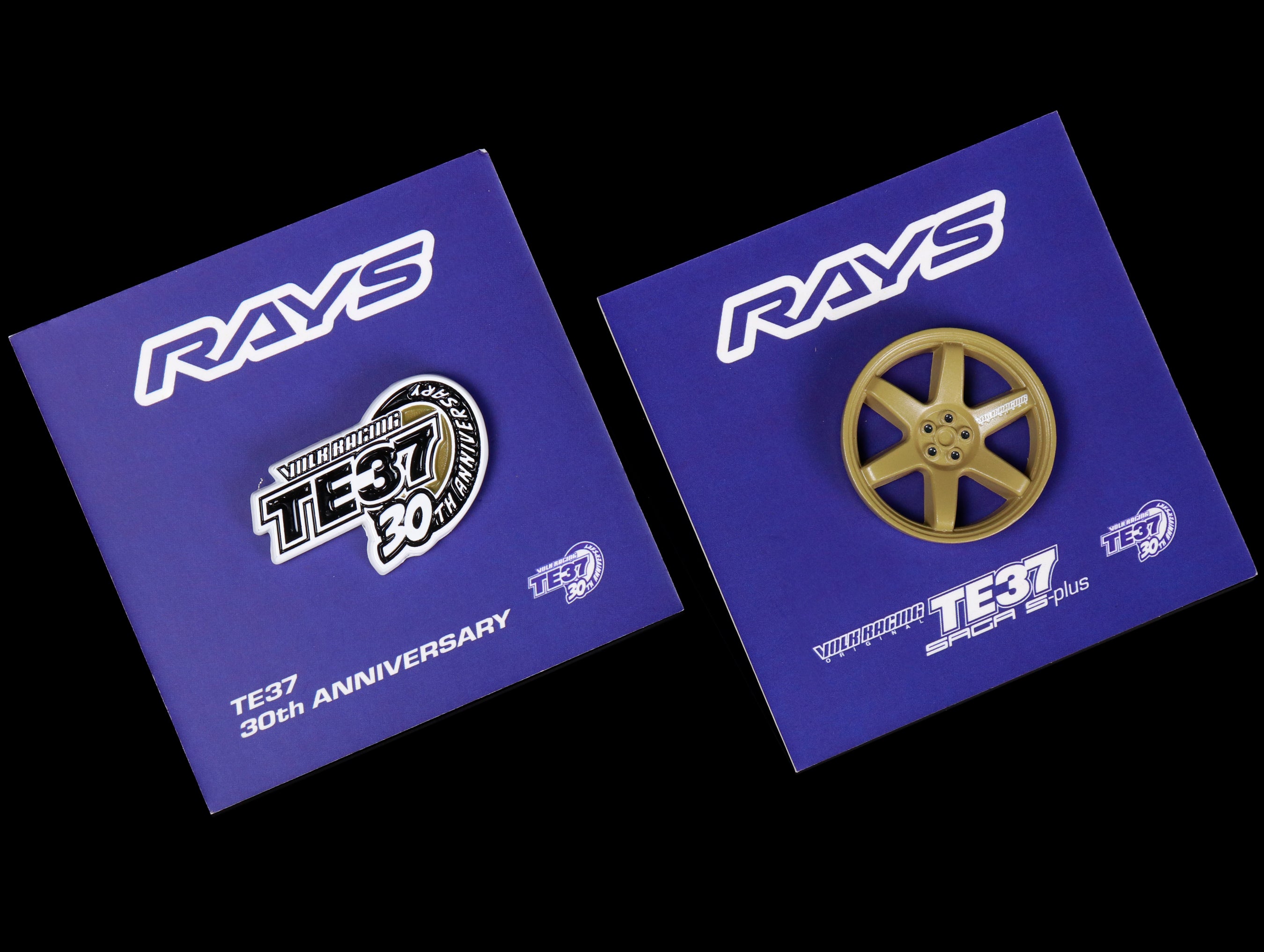 Rays 30th Anniversary Lapel Pin - JHPUSA