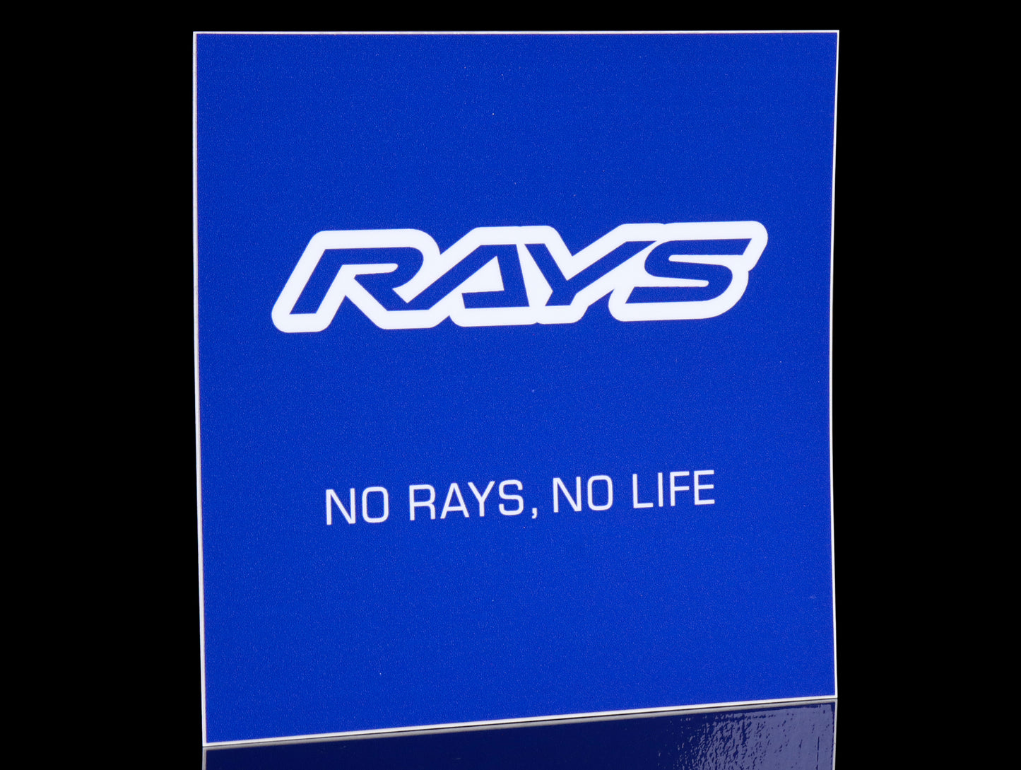 Rays Official Gear Decal - No Rays, No Life
