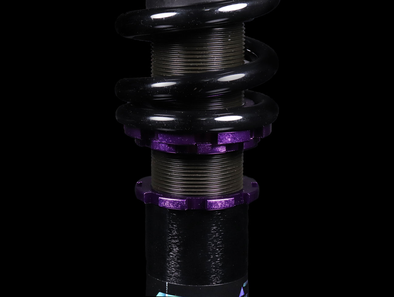 D2 Racing RS Coilover System - Civic