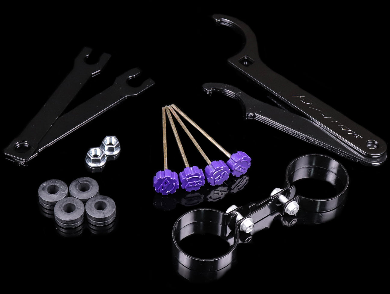D2 Racing RS Coilover System - CRV / HRV / Element